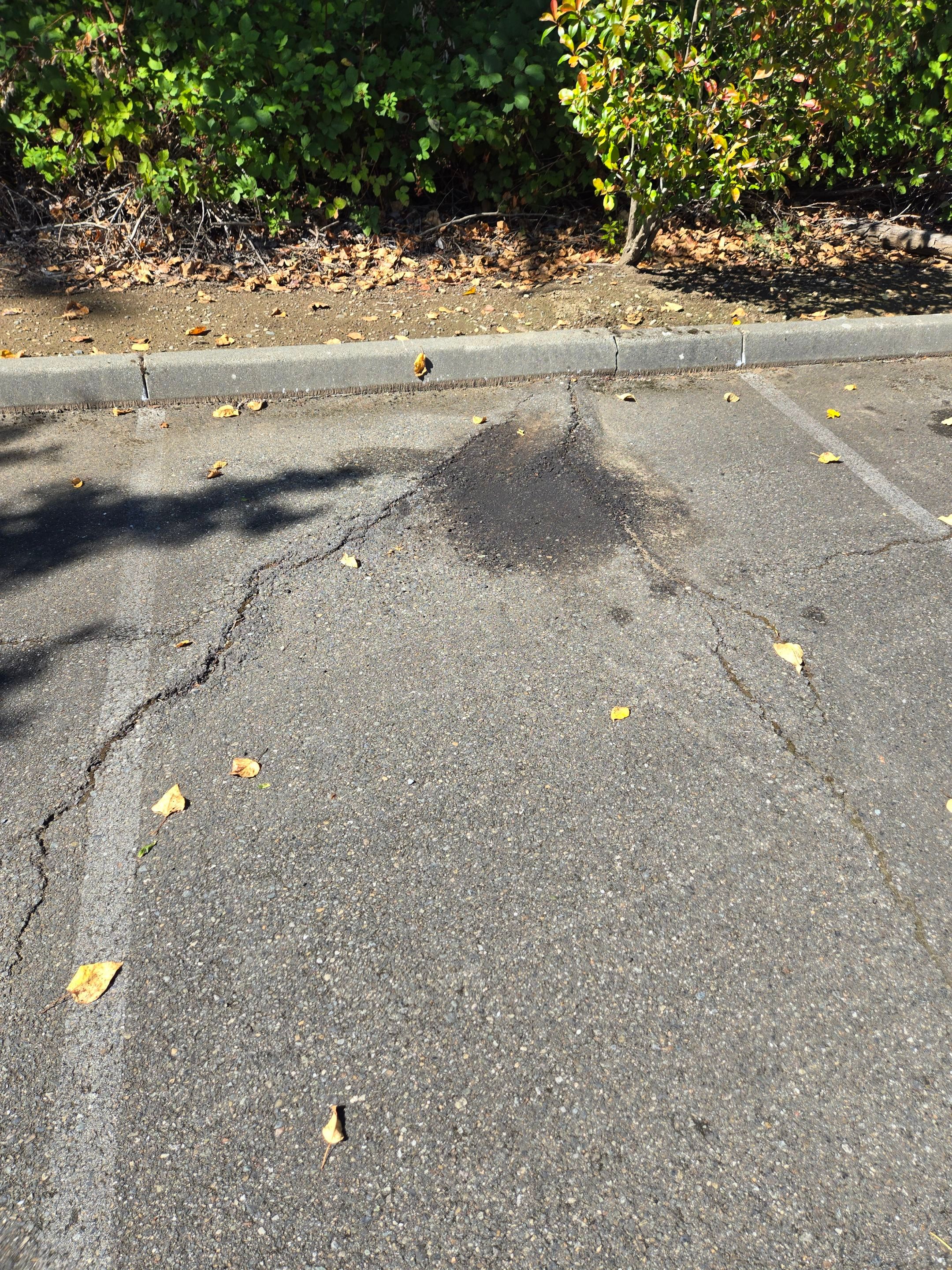 King Machine Business Parking Lot Sealcoat Overlay | Mukilteo by Jireh Asphalt & Concrete Inc 