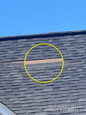 Excuse me ma'am - you're missing shingles!
