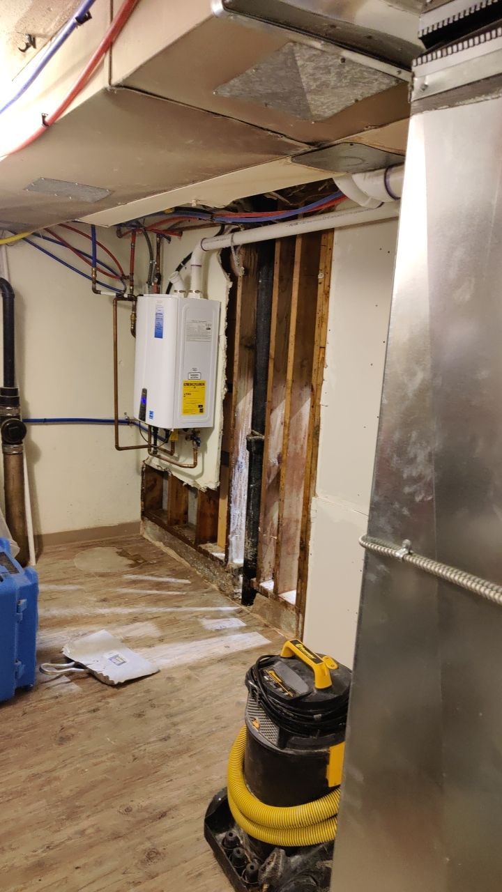 Mold Remediation by Accountable Home Services