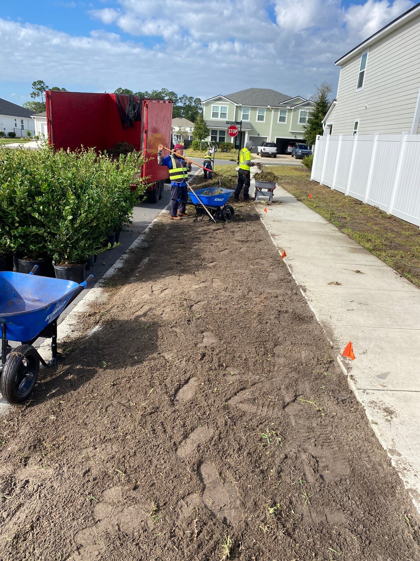 Sod & Shrub Install | Residential  by ProGreen Services