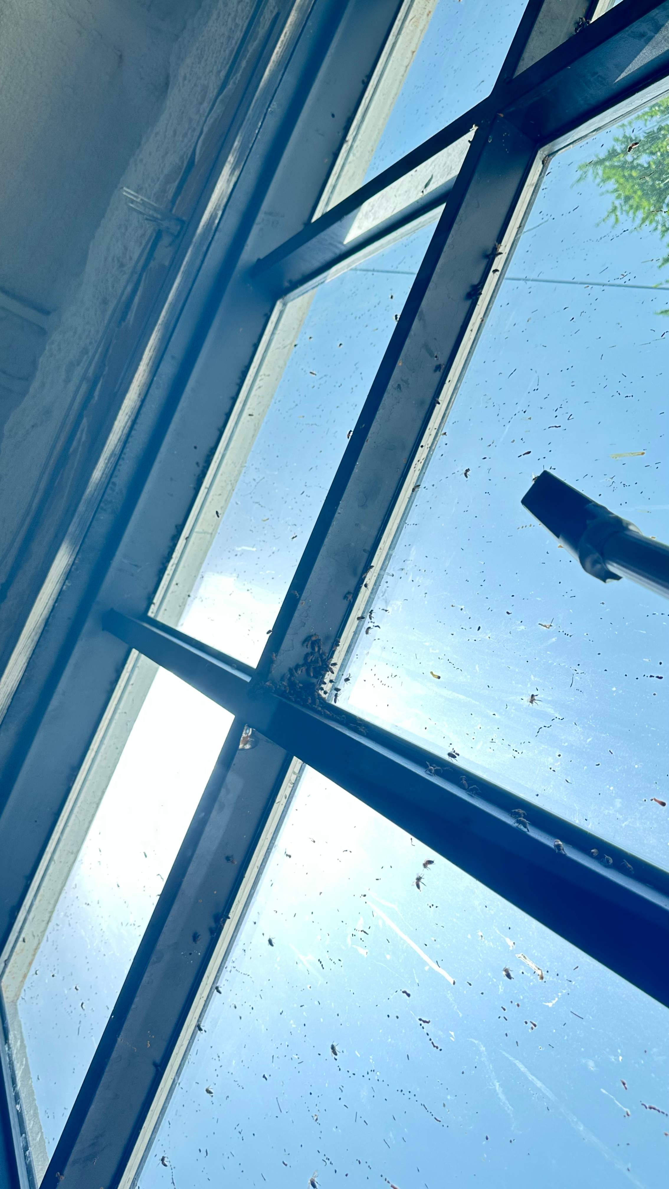 Art Gallery by Rockwall Honey Bee Company