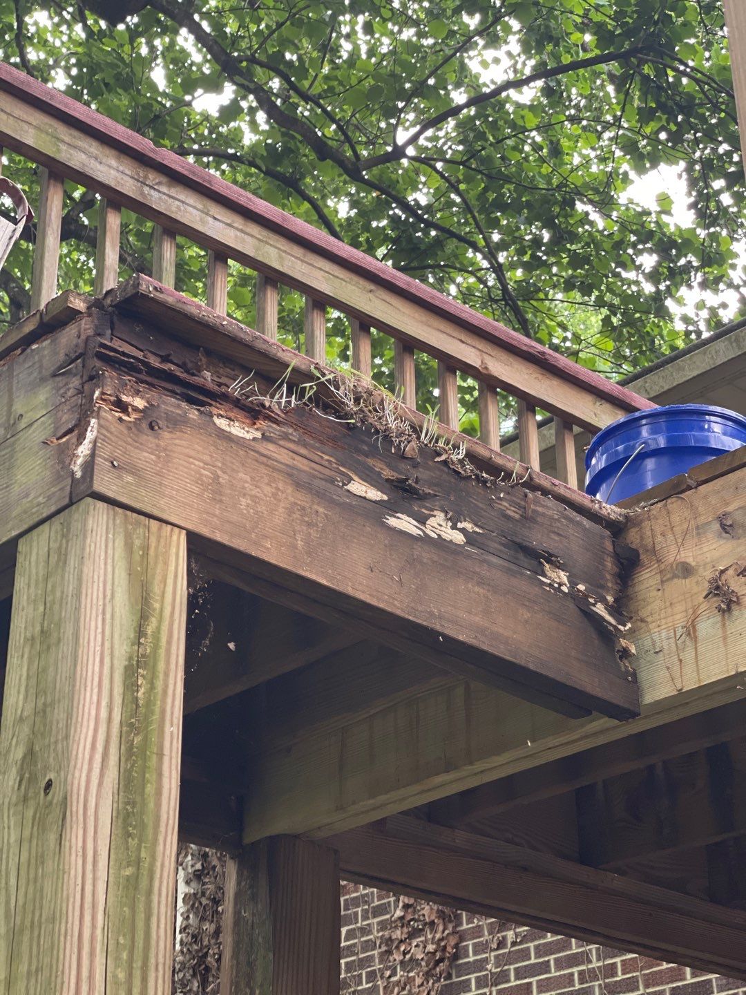 Forest Brook - Staircase by Pillar and Pine