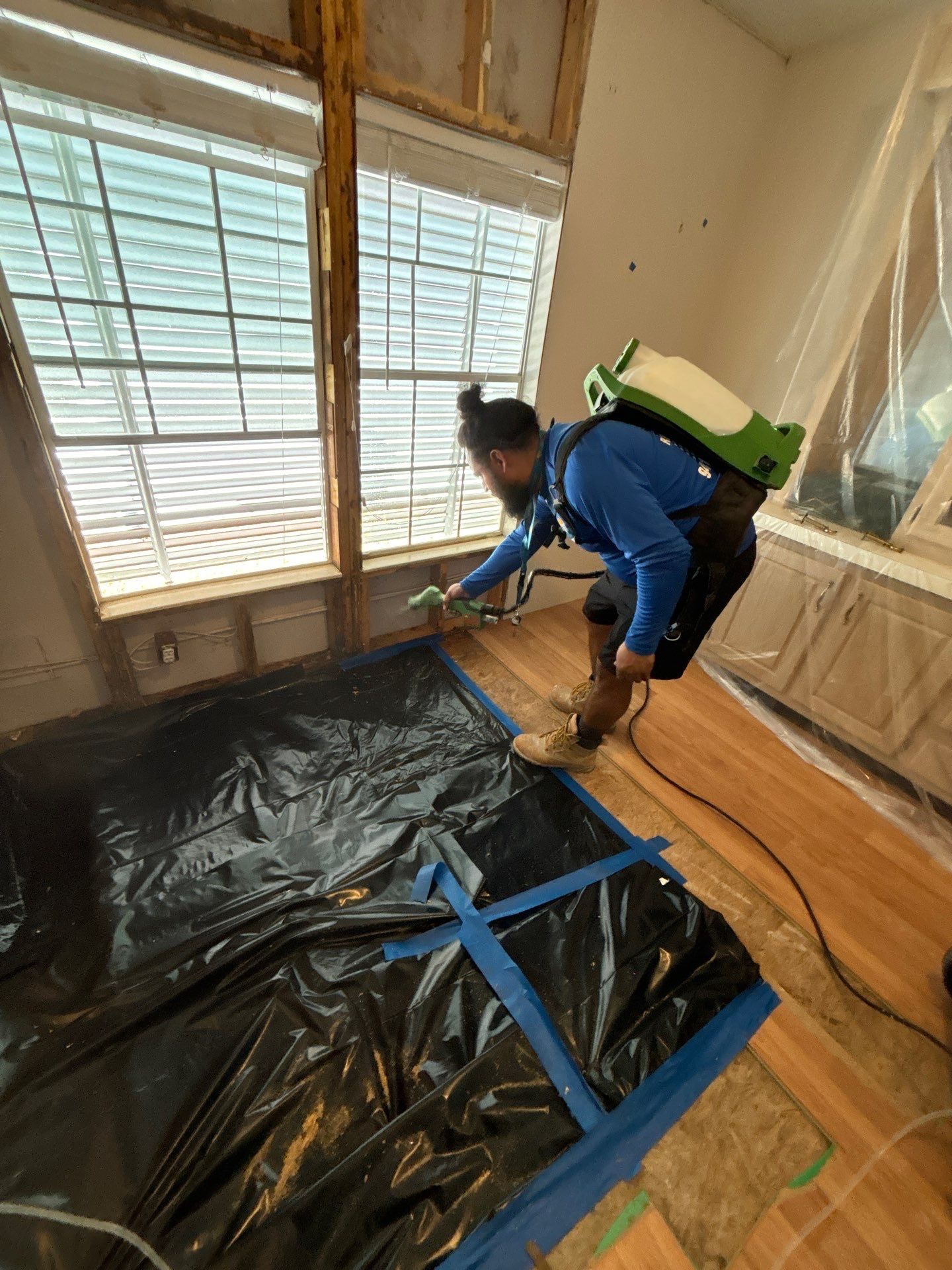 Mold Remediation Palmetto by Ampm Restoration Services 