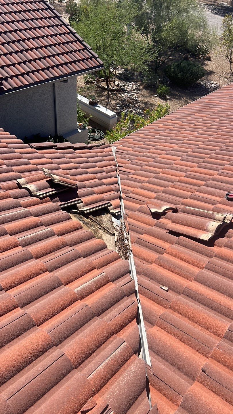 Terracotta Clay Tile by Reimagine Roofing