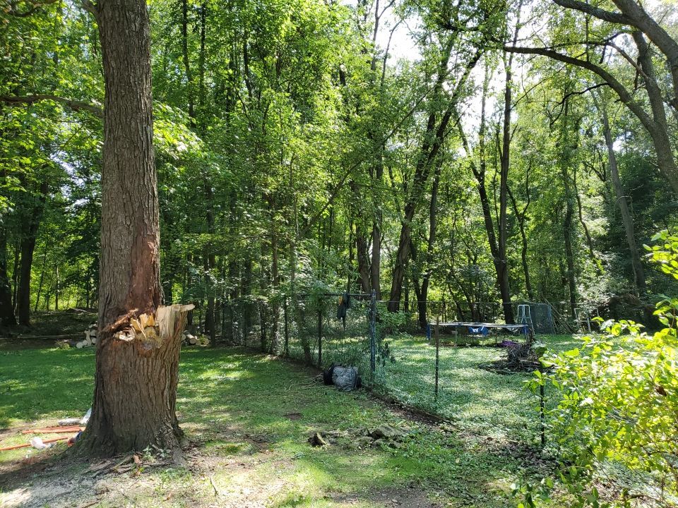 Storm Damaged Tree Removal  by Mike Jones & Sons Tree Service LLC 