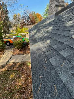 Turtle Shell gutter protection installation in Winfield, IL 60190, photograph 10
