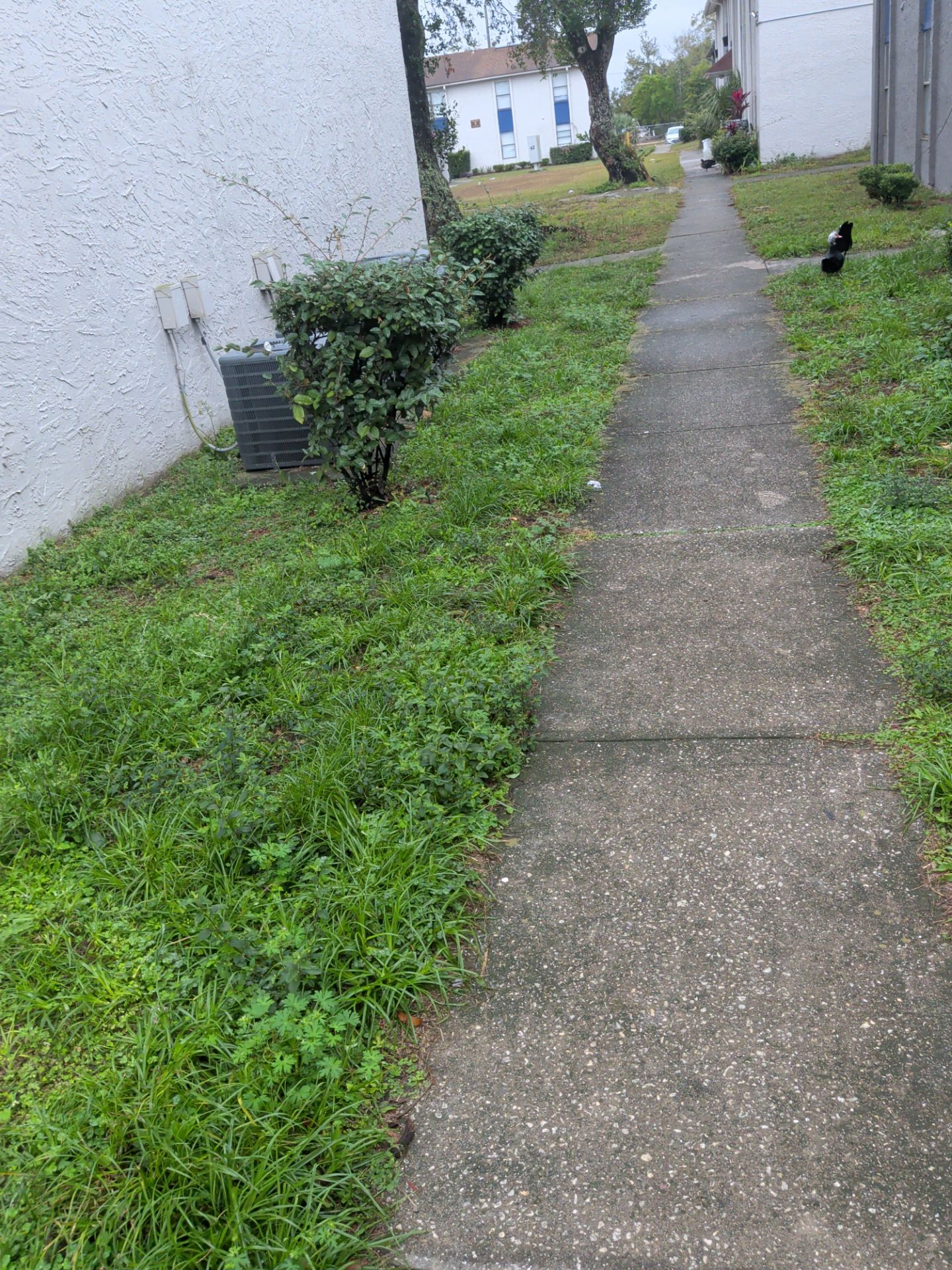 Commercial Landscape Cleanup & Weekly Maintenance — Grassy Pond Apartments by Harmoni Home Services