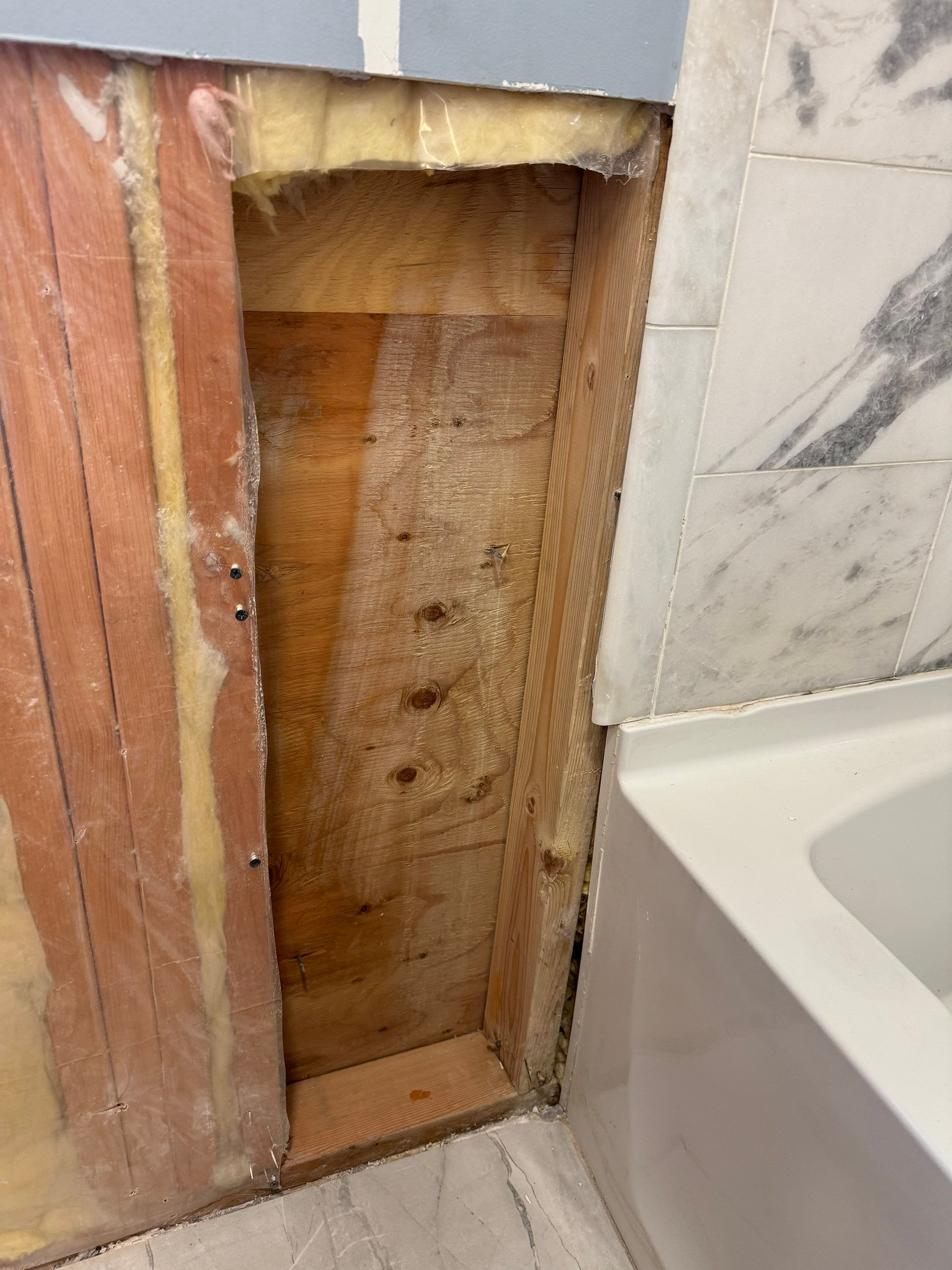 Bathroom Mold Remediation by Home Guarantee, LLC