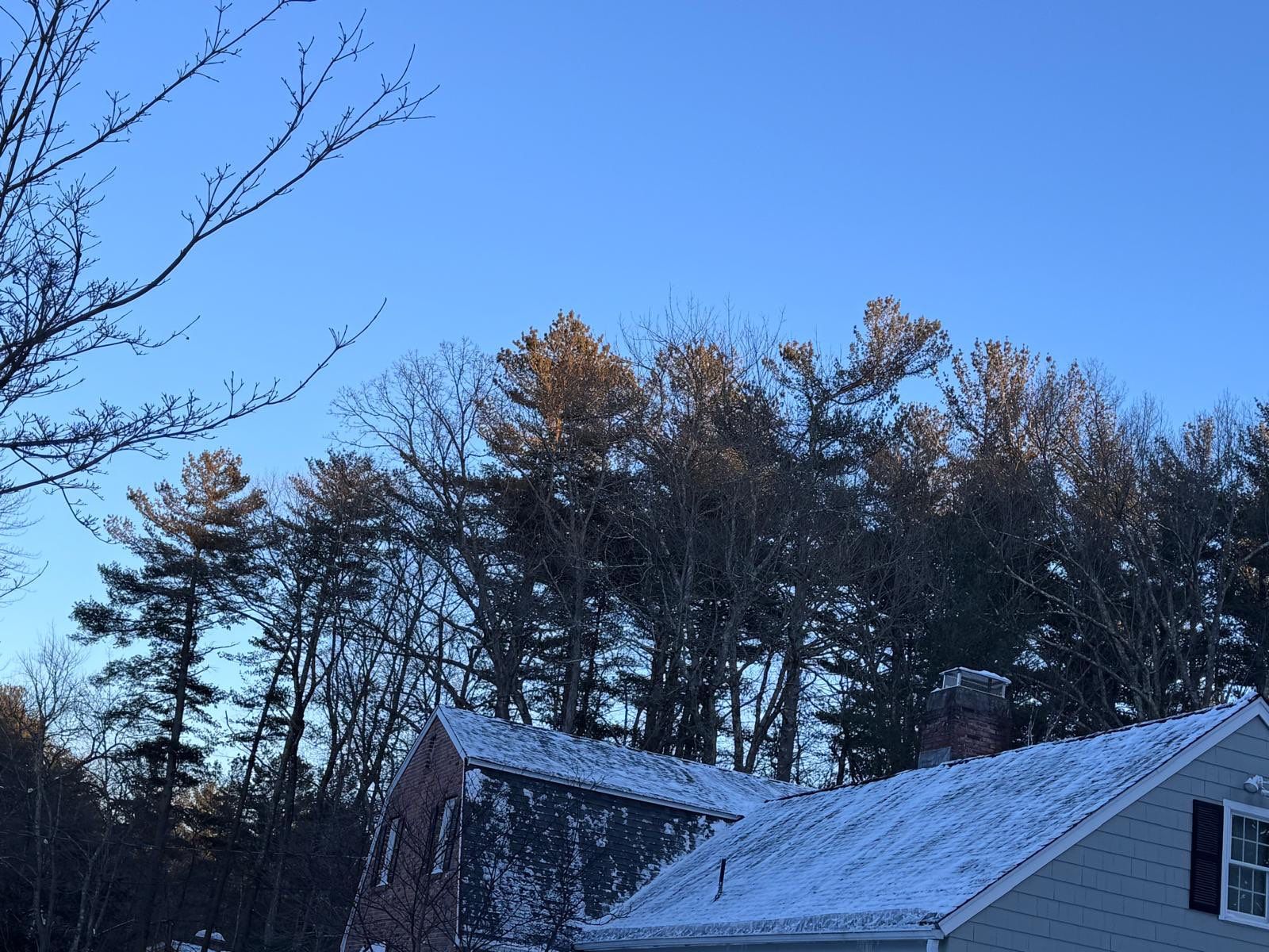 Snow removal by Mighty Dog Roofing of Greater Middlesex County