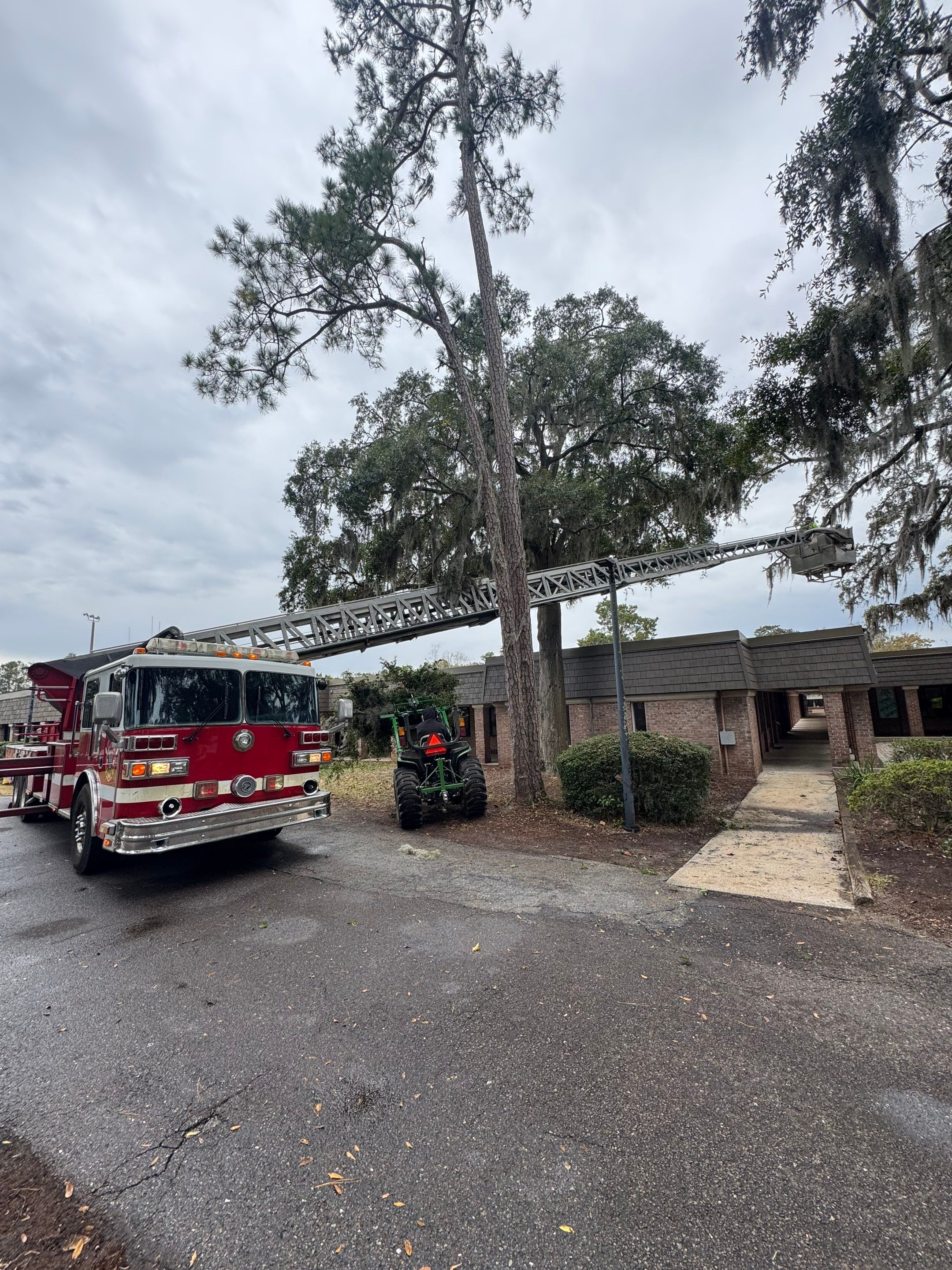 Volunteer Work | Episcopal High School of Jacksonville by ProGreen Services