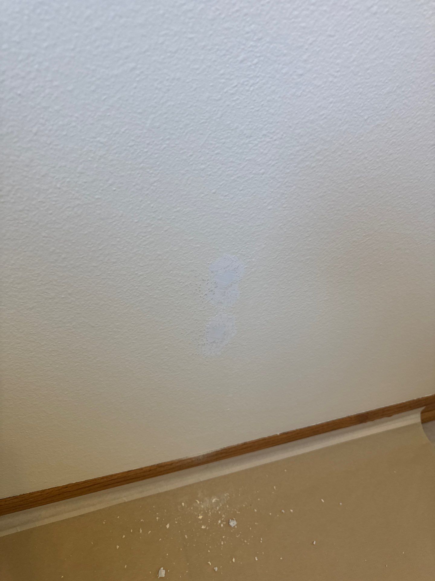 Project in Ankeny by Midwest Paint LLC