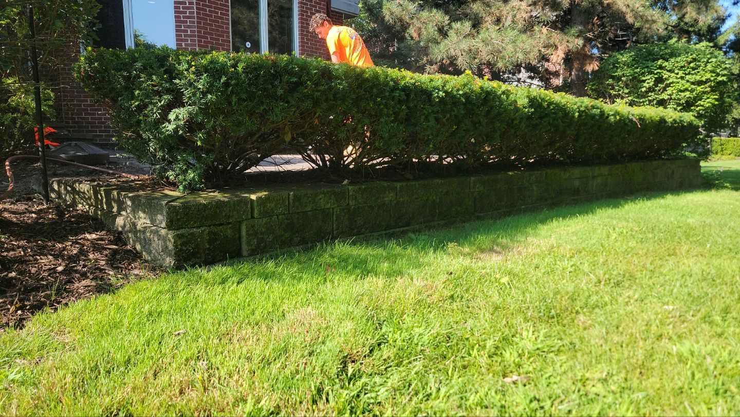 Brick paver repair, clean and seal by Northern Power Washing LLC.