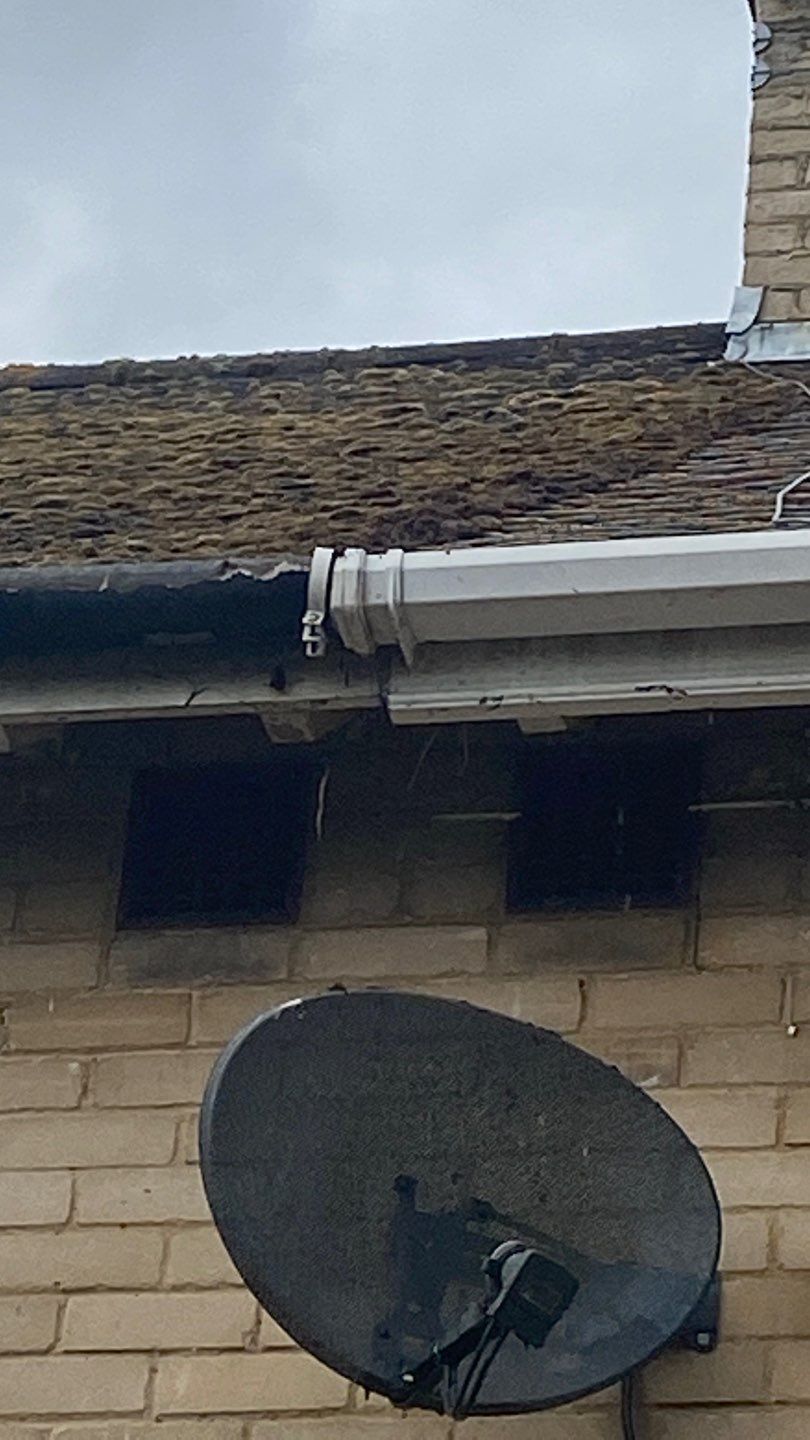 Roof Clean - Moss Removal using Honda 15lpm Low Pressure Washing Machine by Ges Exterior Cleaning ltd