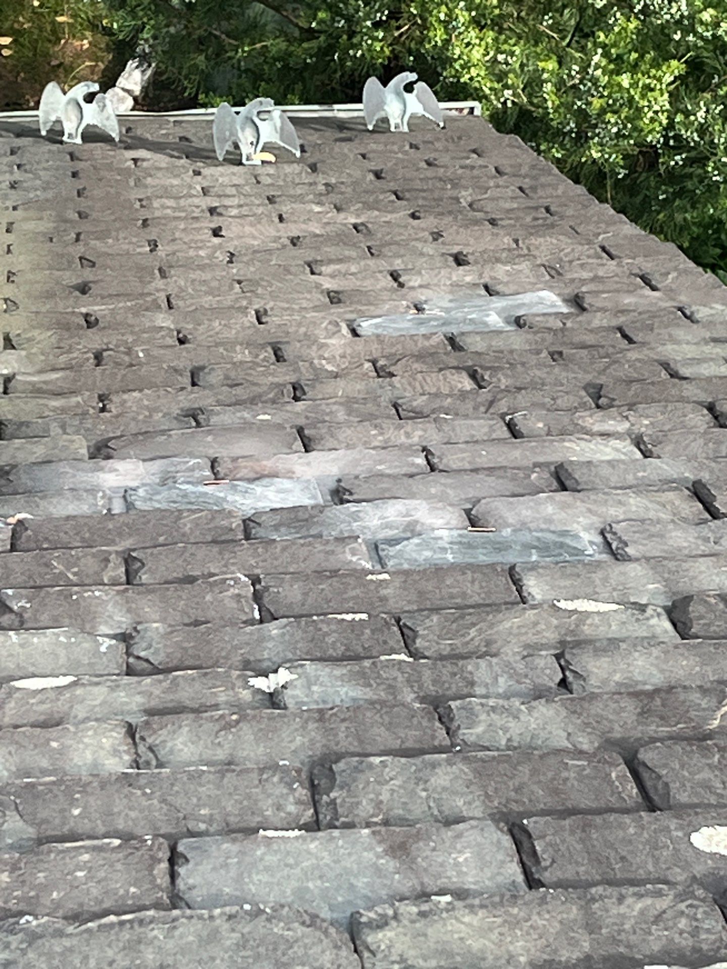 Arlington: Buckingham Slate and Carlisle Syntec TPO Roof by RM Banning, Inc.