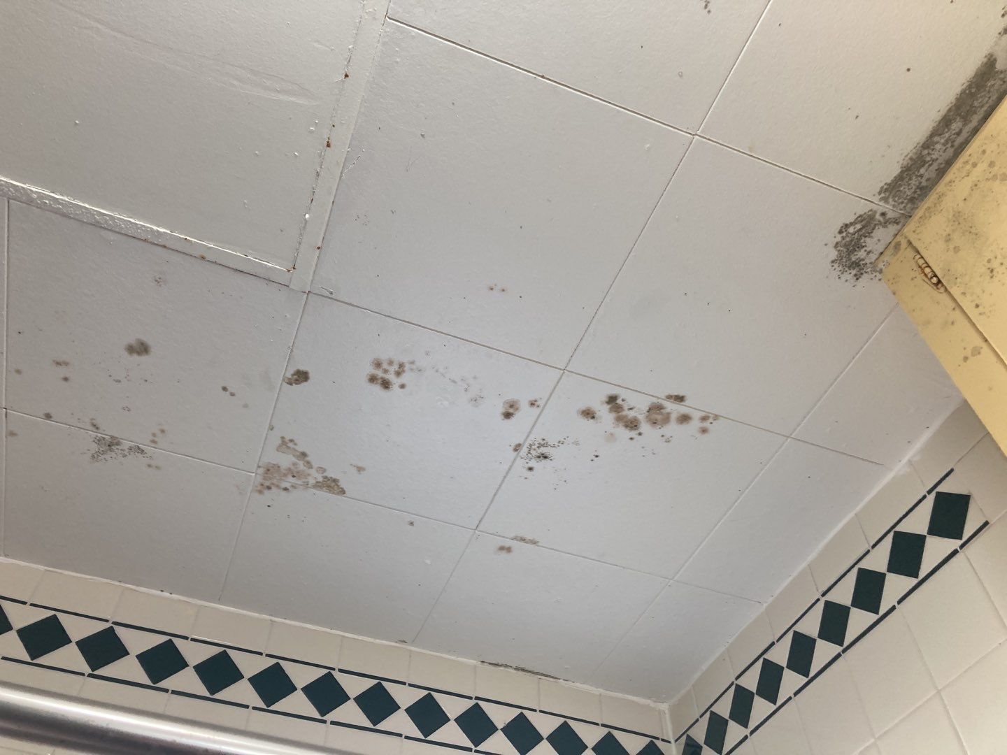 Water Damage in Bathroom by Accountable Home Services