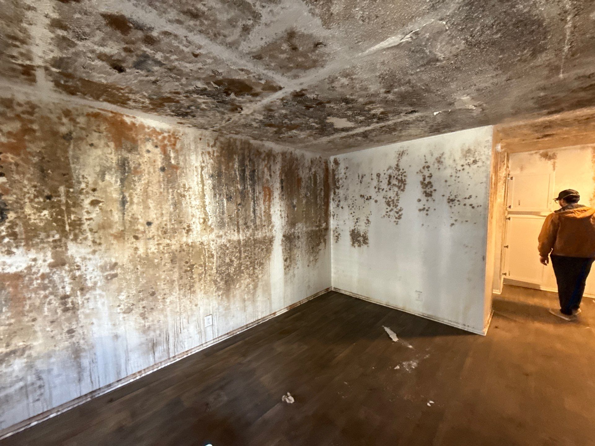 The Slate by Disaster Recovery Consultants