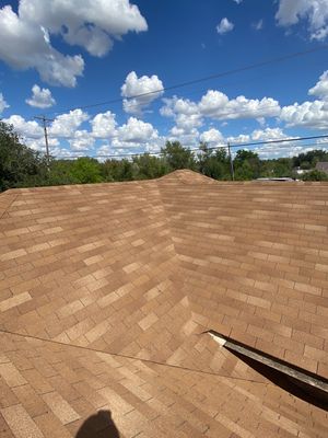 Alamo Roof Project