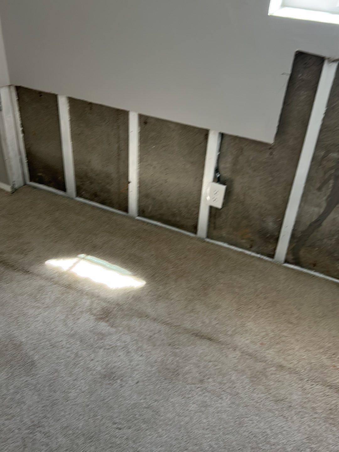 Mold Damage Repairs by Accountable Home Services