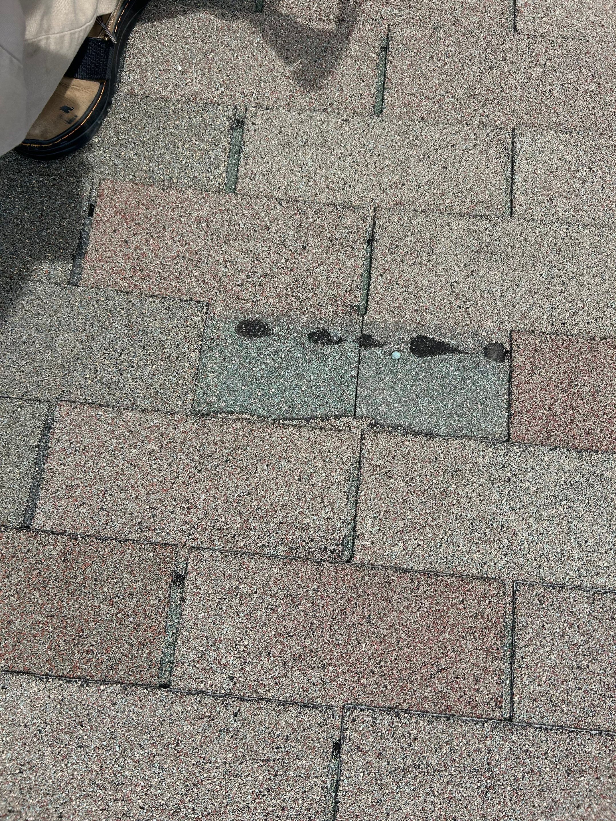 Sterling: Residential Roof Replacement with CertainTeed Landmark in Granite Gray  by RM Banning, Inc.