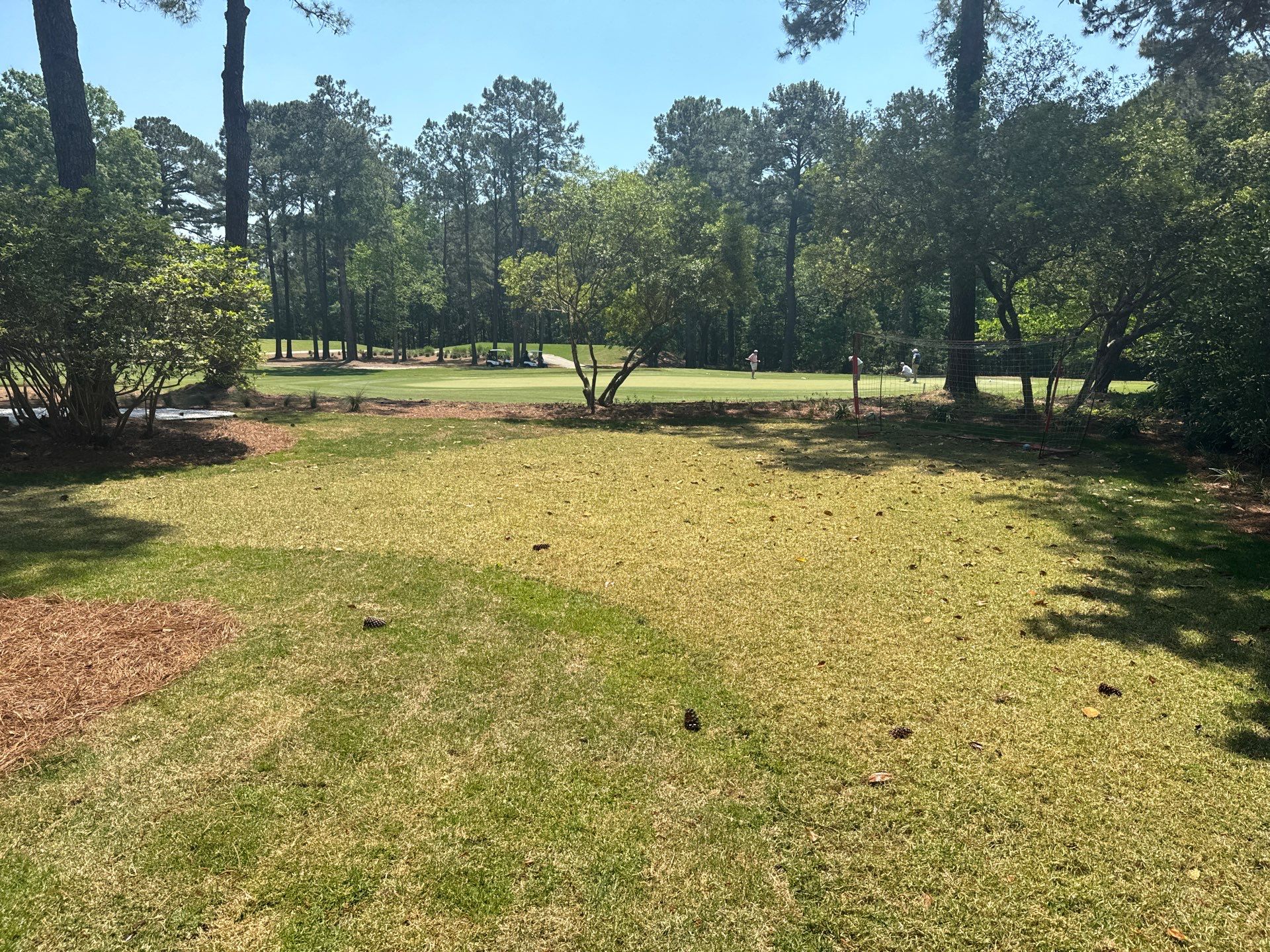 Comprehensive Landscape Design and Custom Hardscape Installation in Bluffton by Lowcountry Scapes, LLC