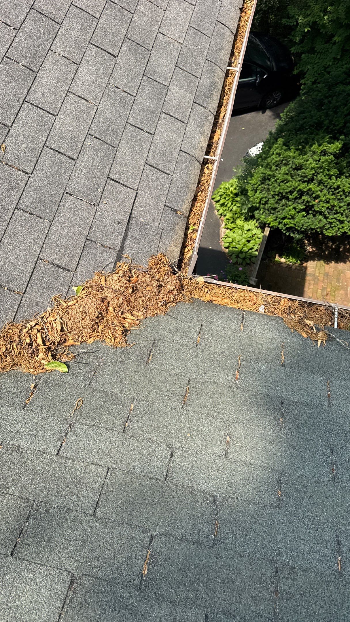 Project in Wyncote by North Star Roofing