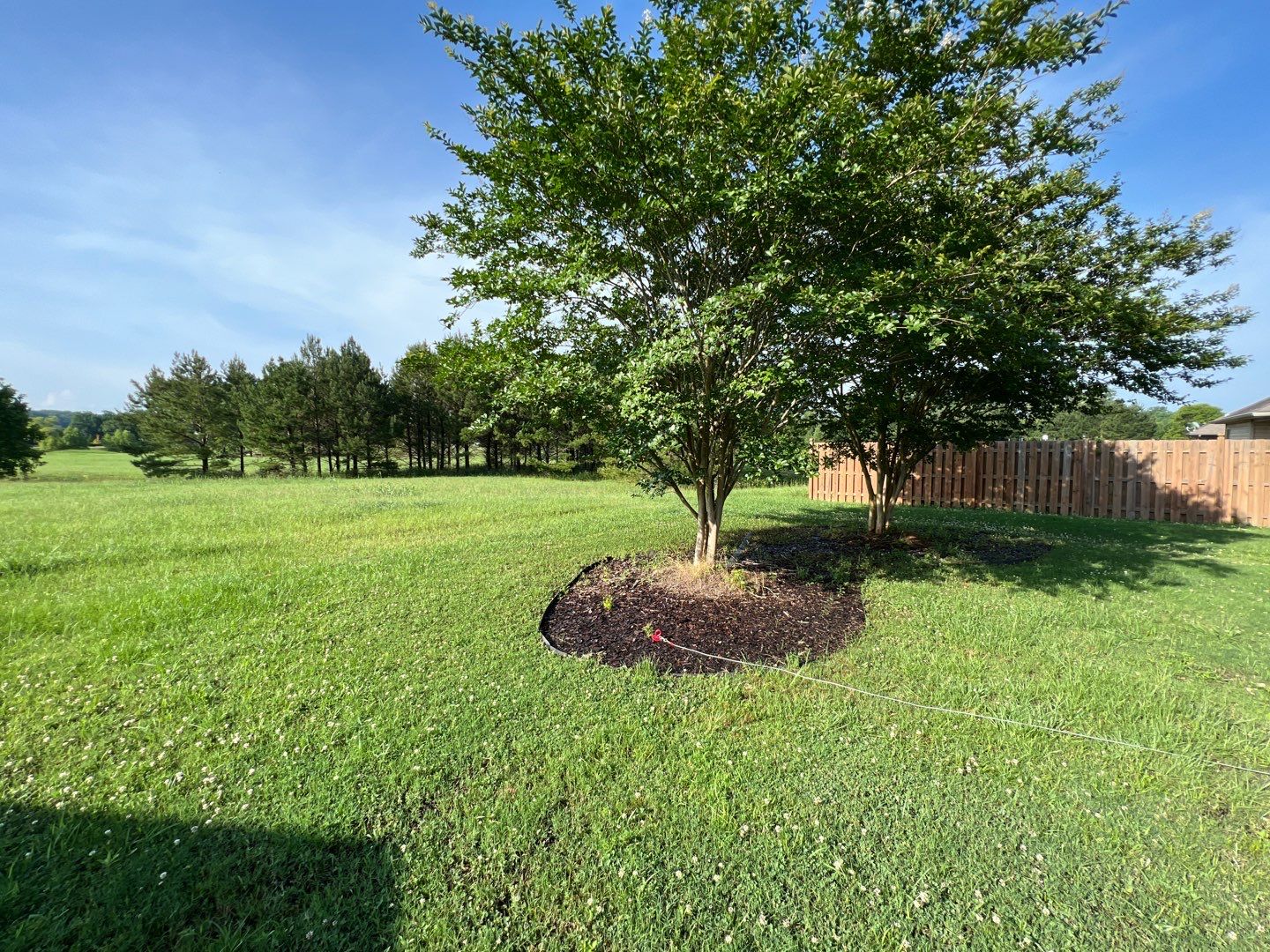 Lake View - Fence by Pillar and Pine