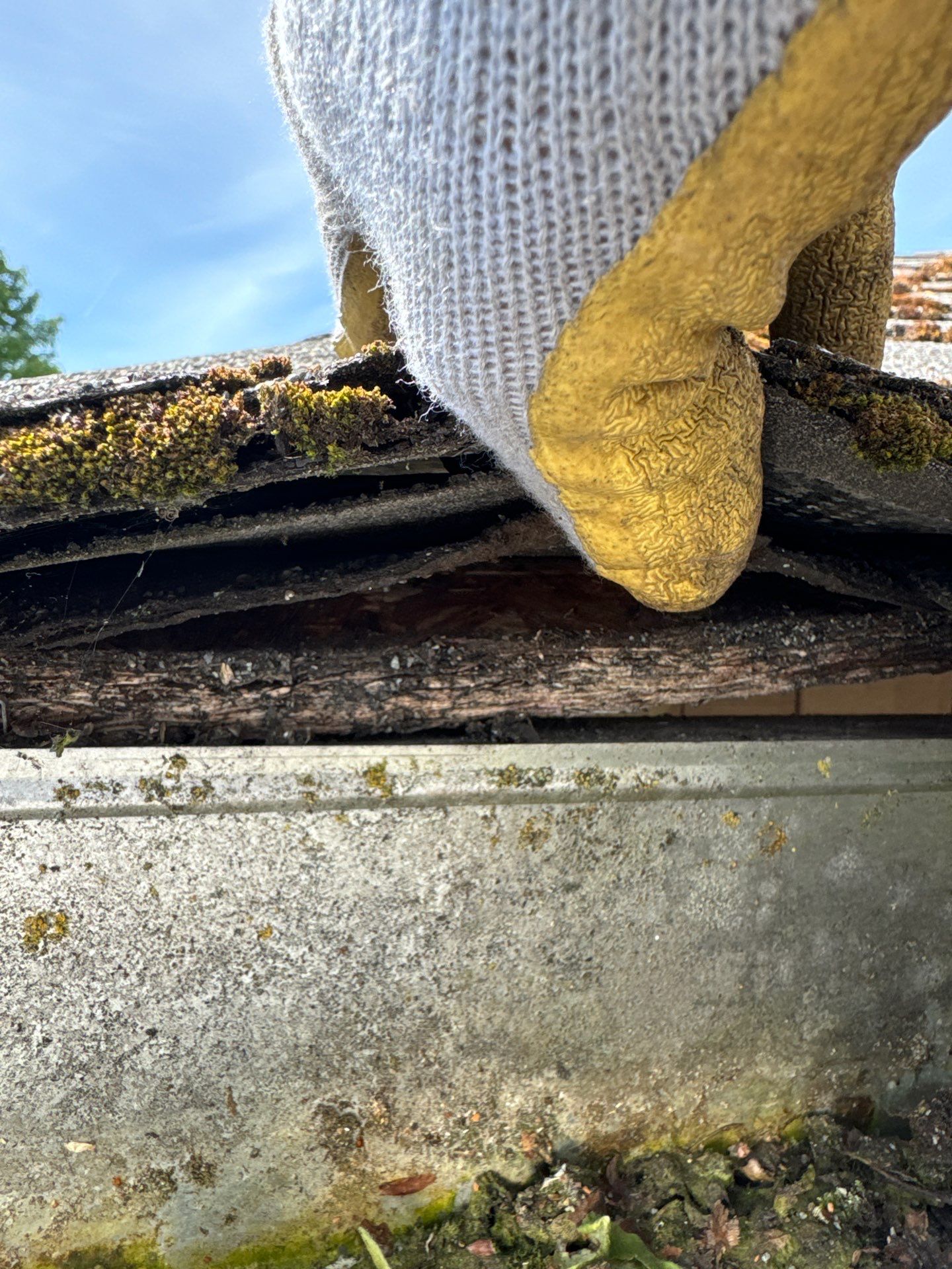 Project in Seattle by Peaks and Valleys Construction