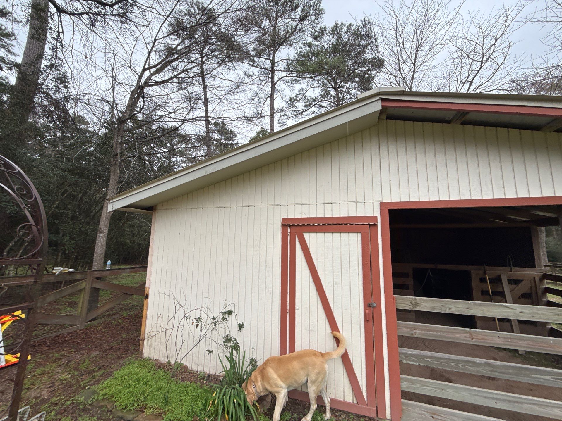 Siding Repair using Sophalx Crew by SophAlx LLC