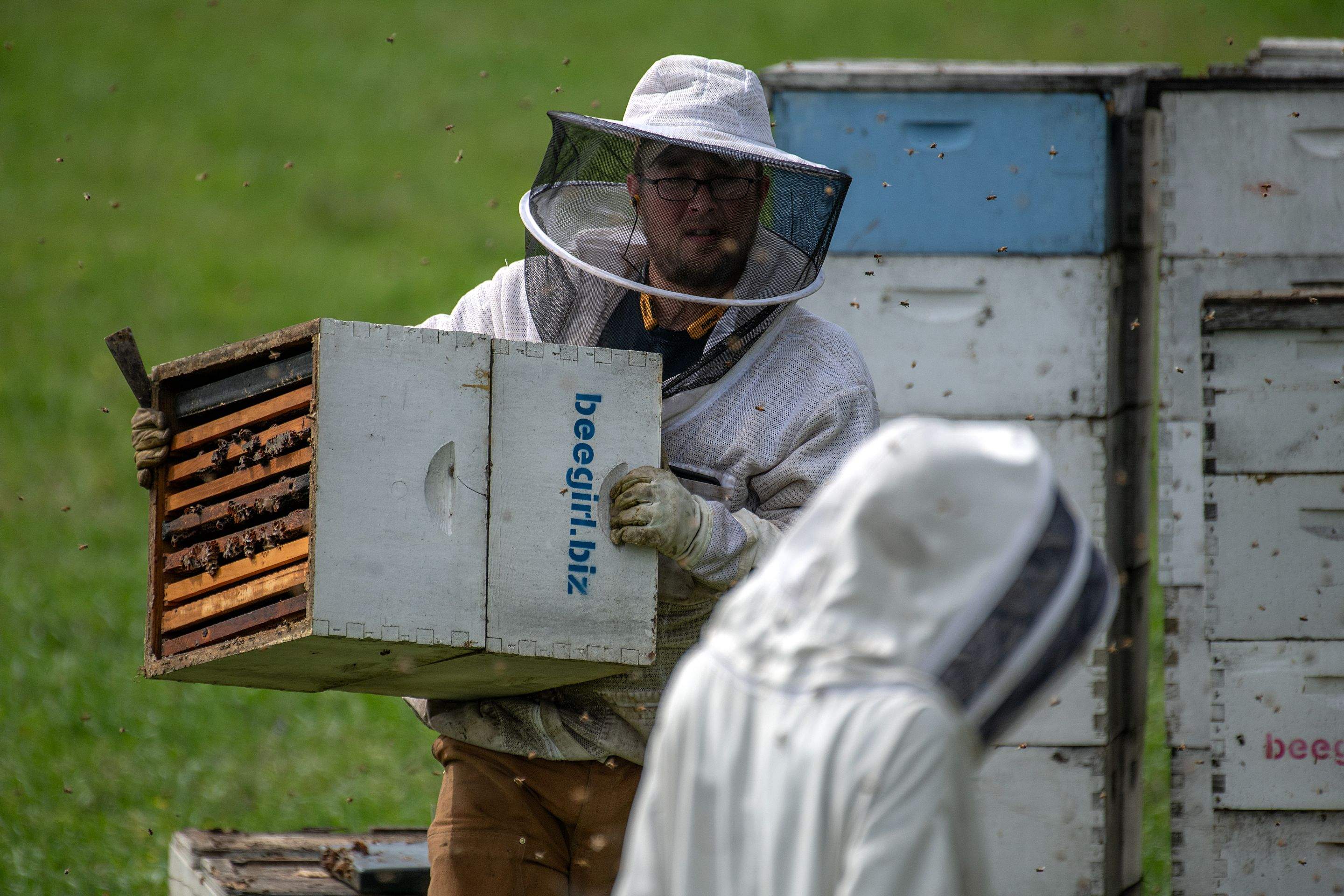 Splits in East Texas by Rockwall Honey Bee Company