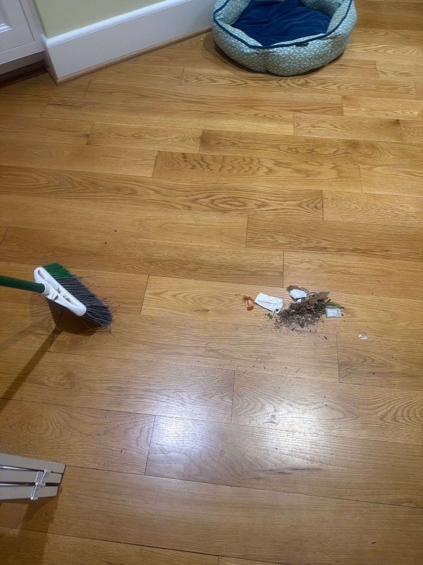 House Cleaning and Maid Service in Dunthorpe Portland by Cloud 9 Professional Cleaning Services