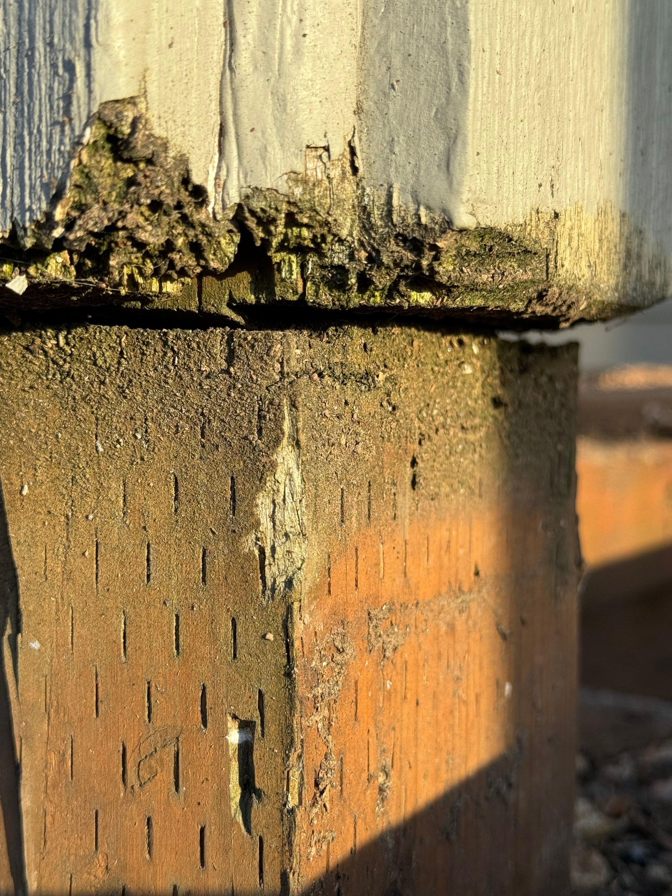 Project in West Linn by Peak Exteriors LLC