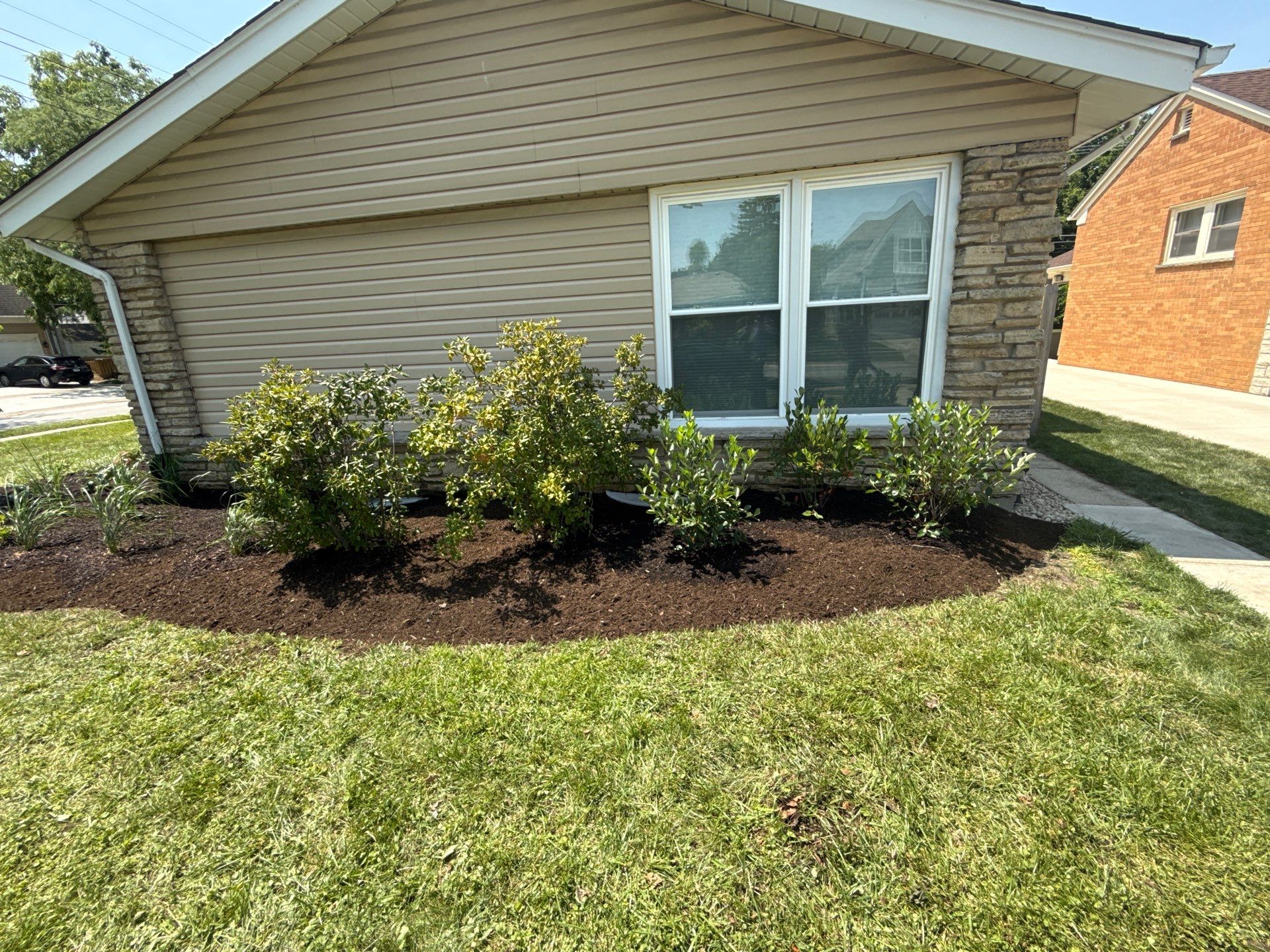 Jamie E. - Arlington Heights, IL by A&N