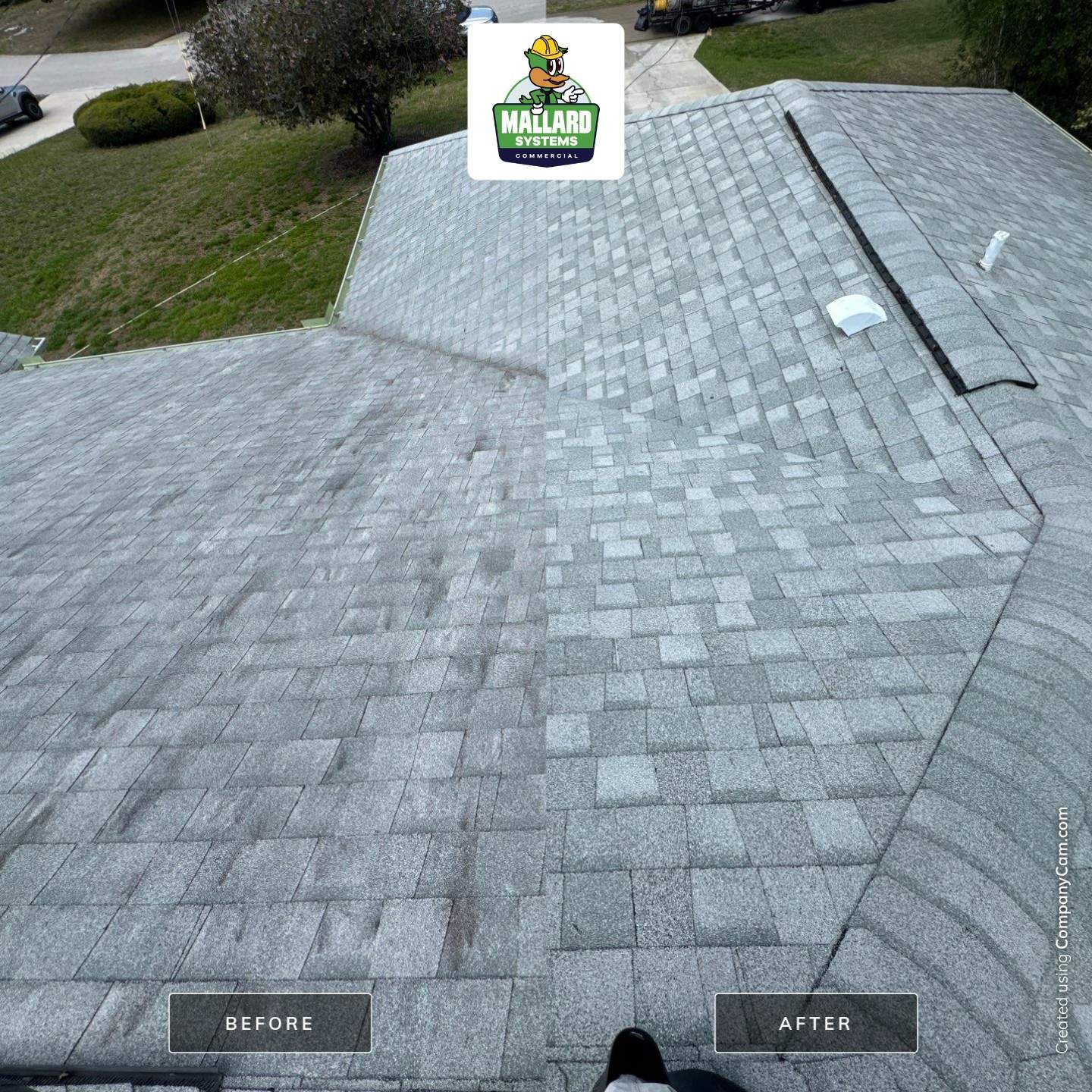 Shingle Roof Cleaning by Mallard Systems