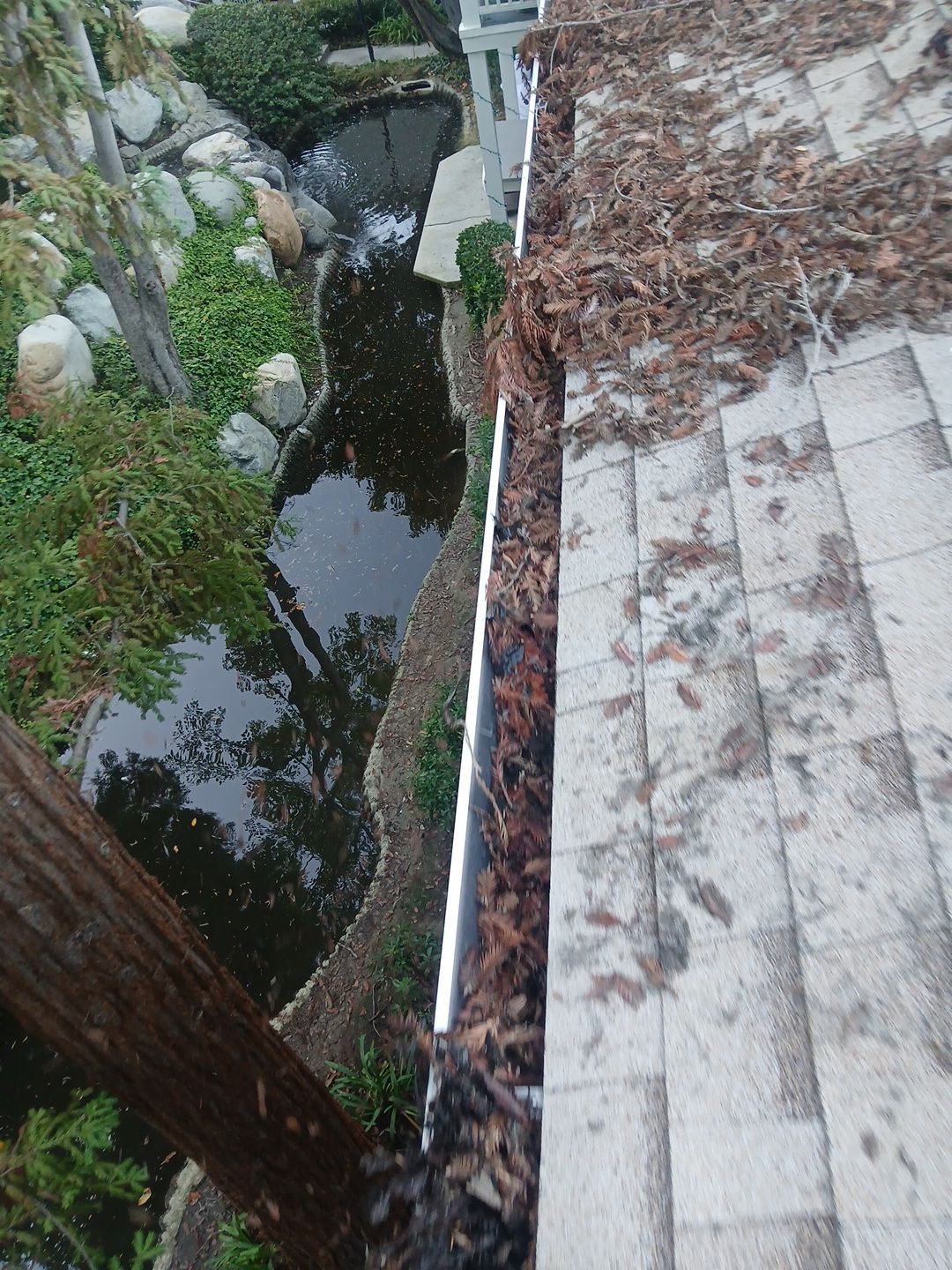 Commercial gutter cleaning Long Beach, CA before photo with filled gutters