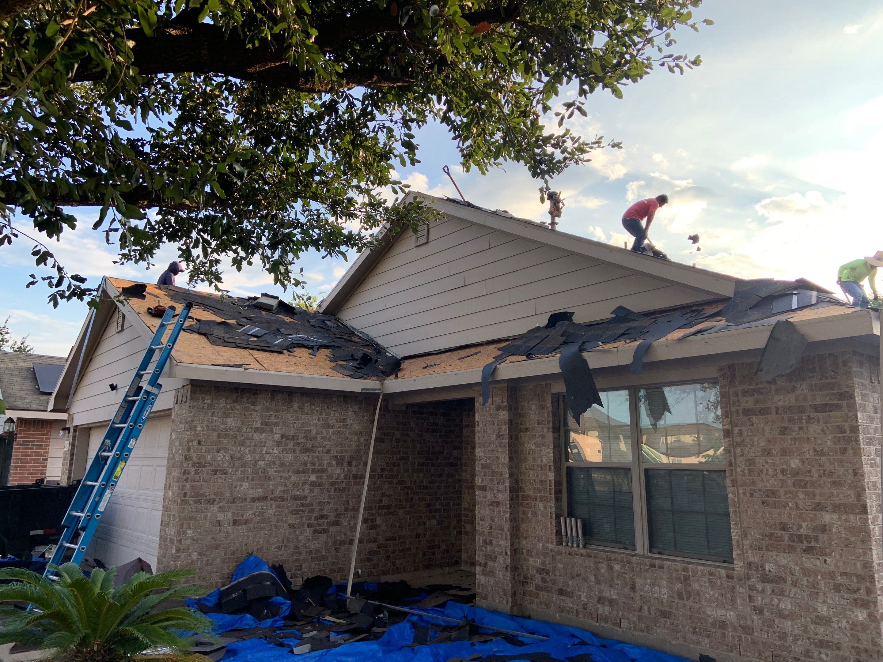 AMIG approved this roof for wind damage, fascia painting, and window work. by Roof Repair Company