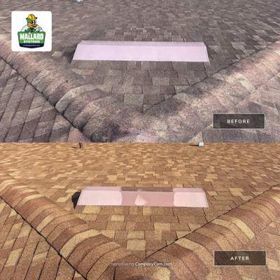 Residential Shingle Roof Cleaning in Waterford Lakes