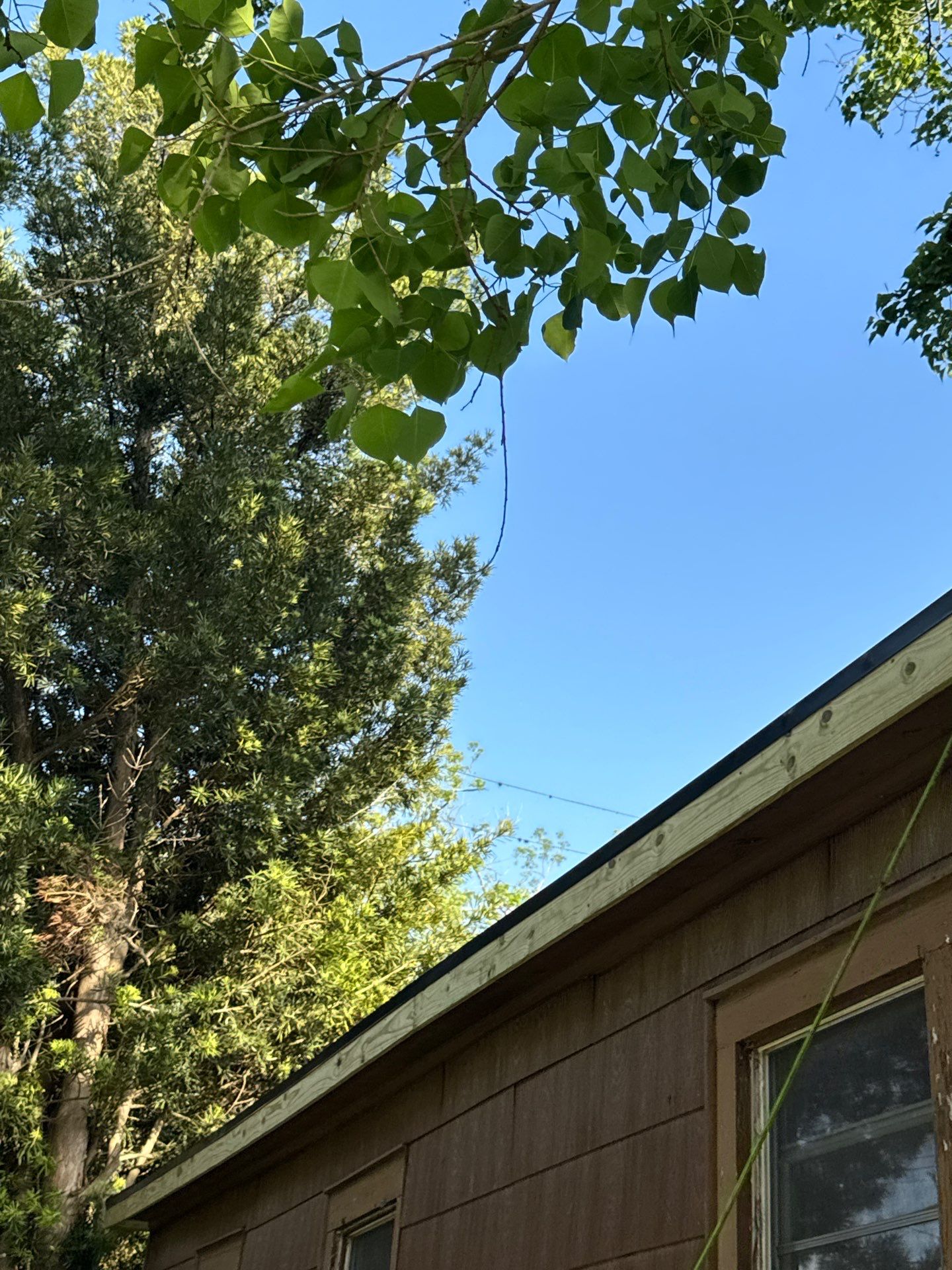 Roof Replacement Wharton by Roof Repair Company