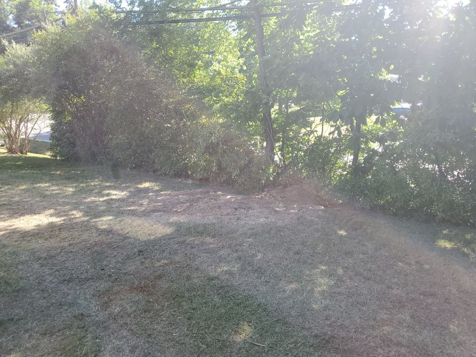 Tree Removal using Tree Removal by Mike Jones & Sons Tree Service LLC 