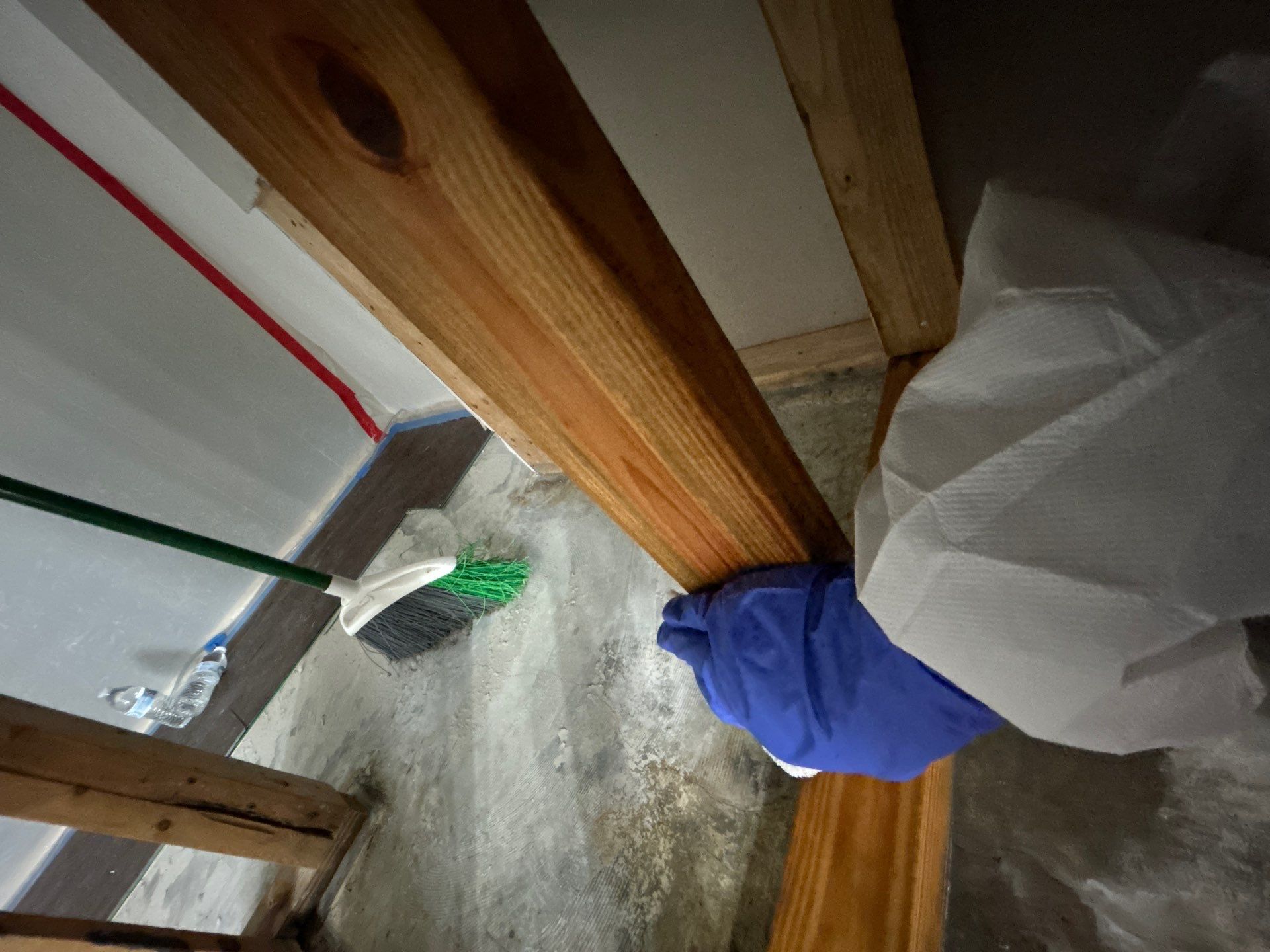 Stansell - water and mold photos  by THE RAPID TEAM