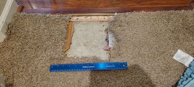 Repairing Carpet Chewed by a Dog