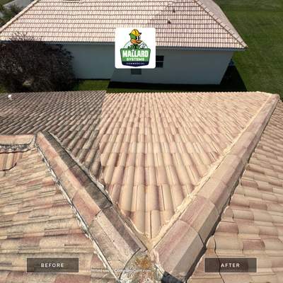 Tile Roof Cleaning