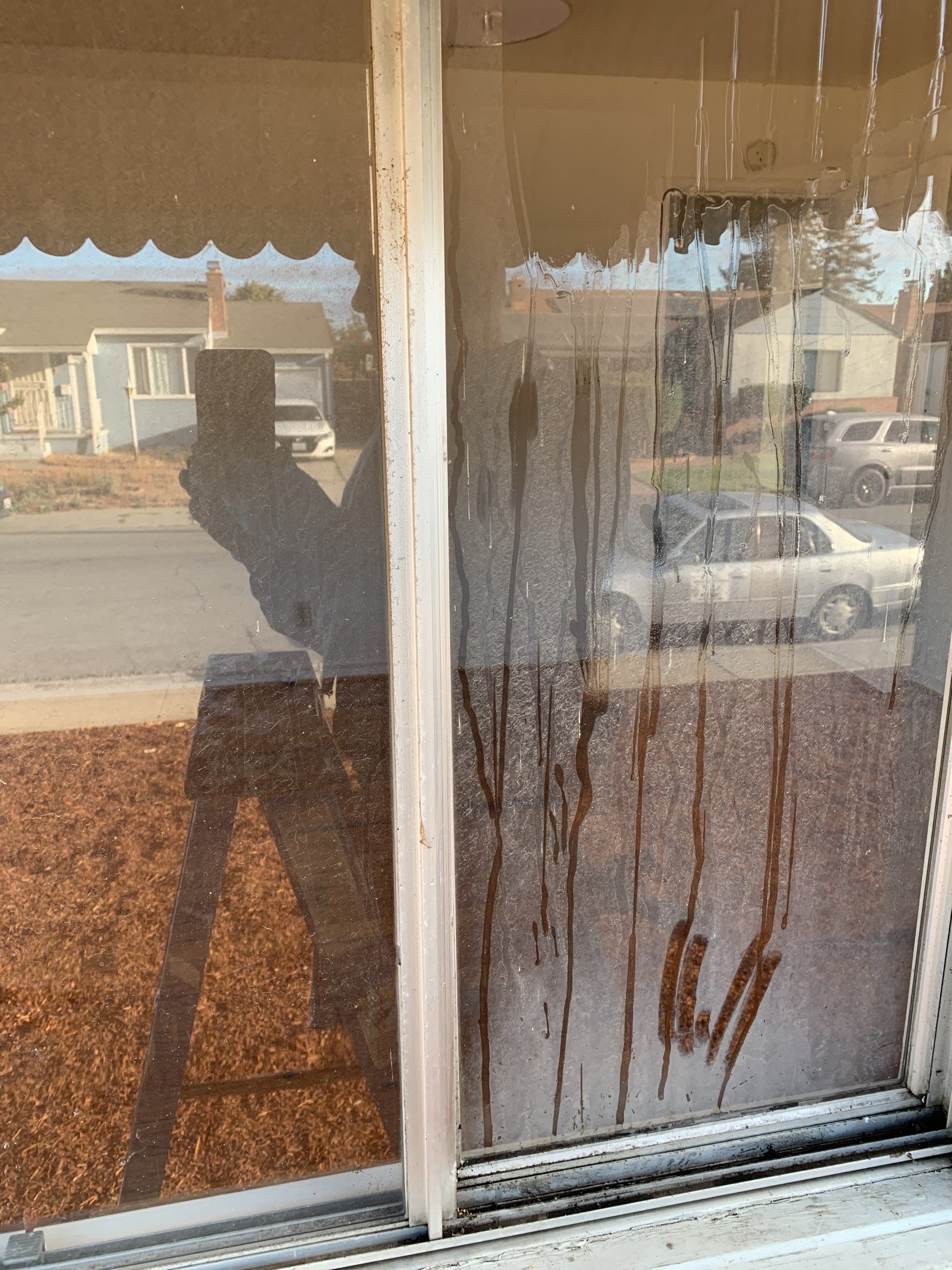 Window Clean for Tracy McKendell Realty by SpotFree Window Cleaning