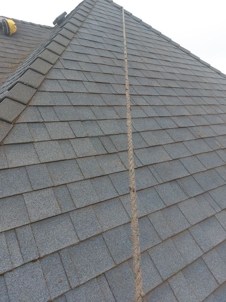 Roof Cleaning  using Moss Treatment  by BEST Roofing & Waterproofing