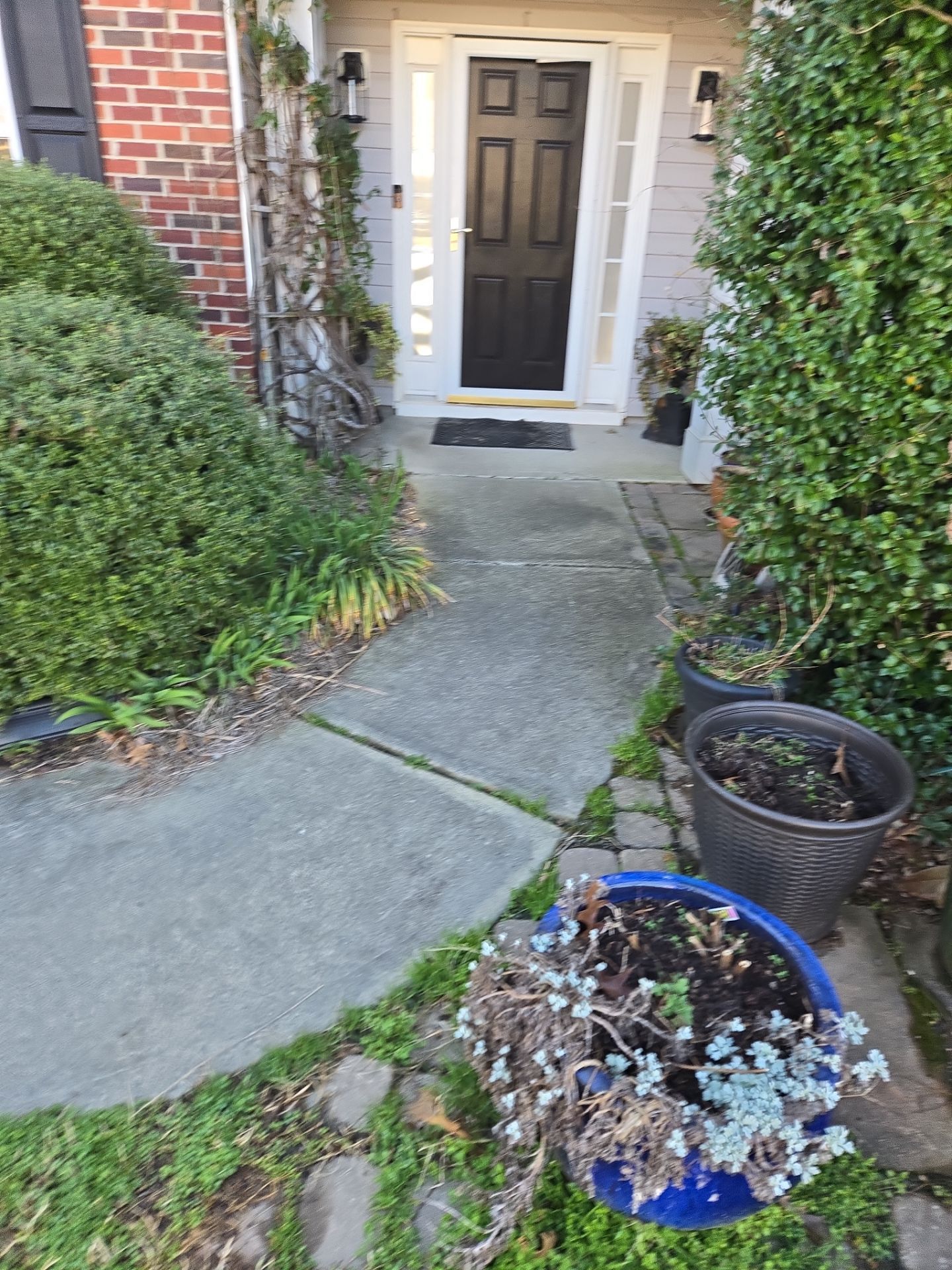 House Wash using cleaner by G&H Home Tech Pros LLC