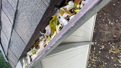 Gutter Protection for Mount Prospect Homes