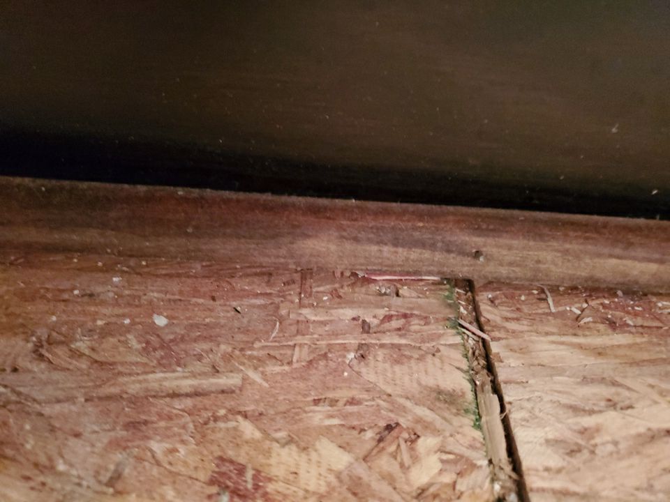 From Flooded to Flawless: A Holly Springs Bathroom Restoration by Elite Remodeling and Design LLC