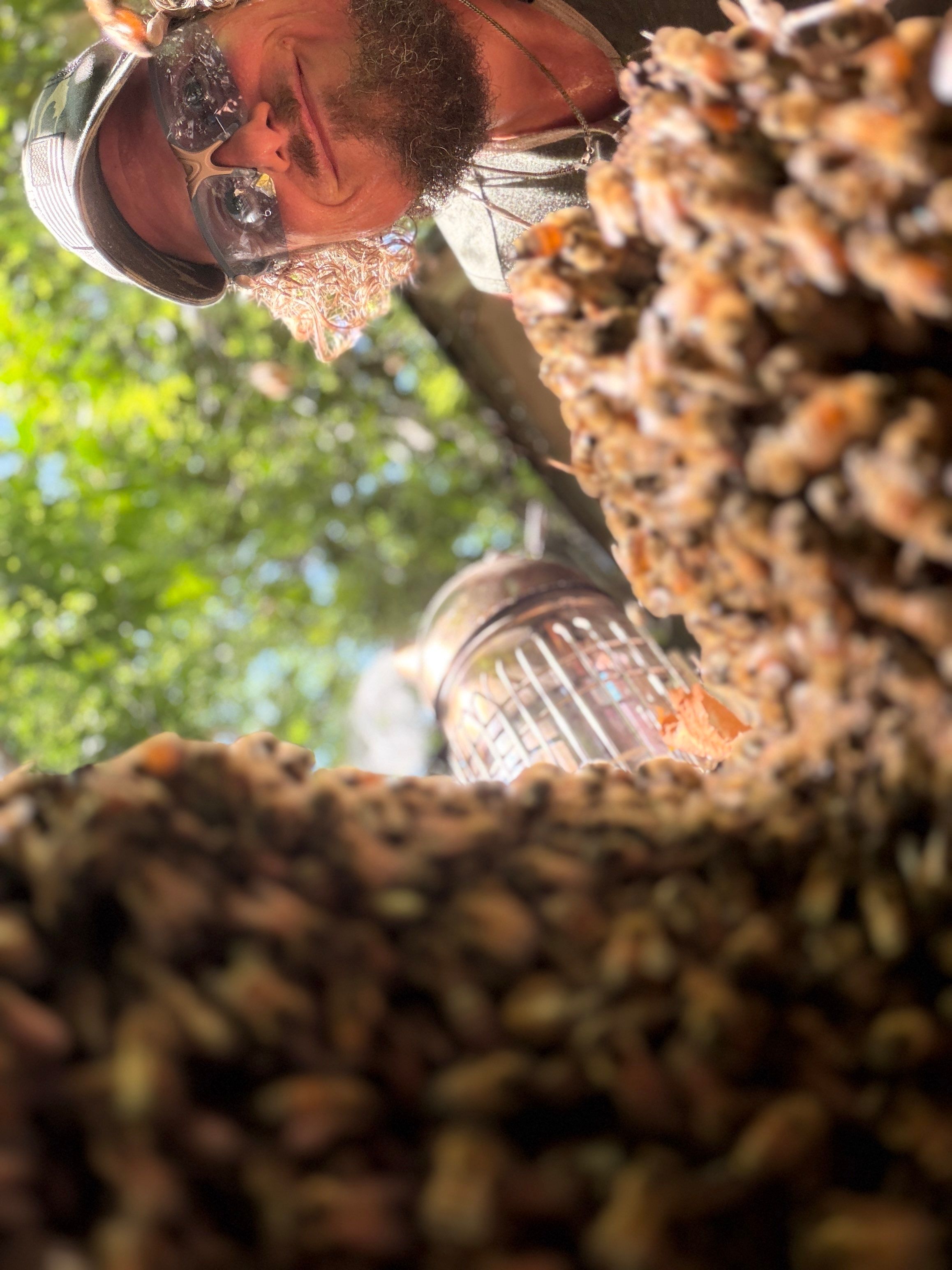 Warranted Removal by Rockwall Honey Bee Company