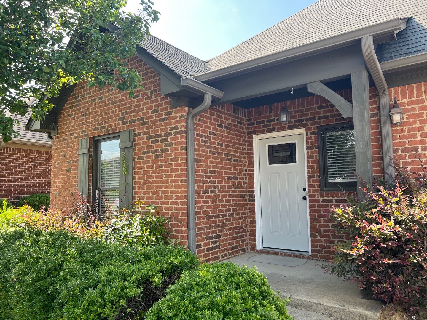 Downing Park - Paint by Pillar and Pine