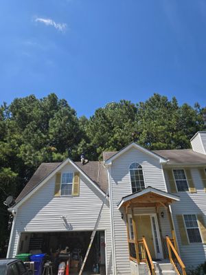 Tree Fall In Ellenwood