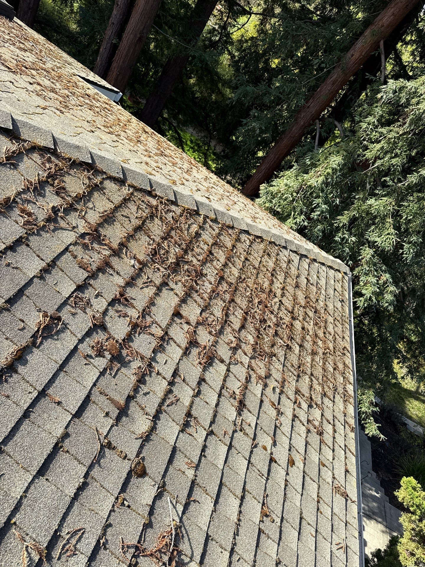 Soft Wash by Top Elevation